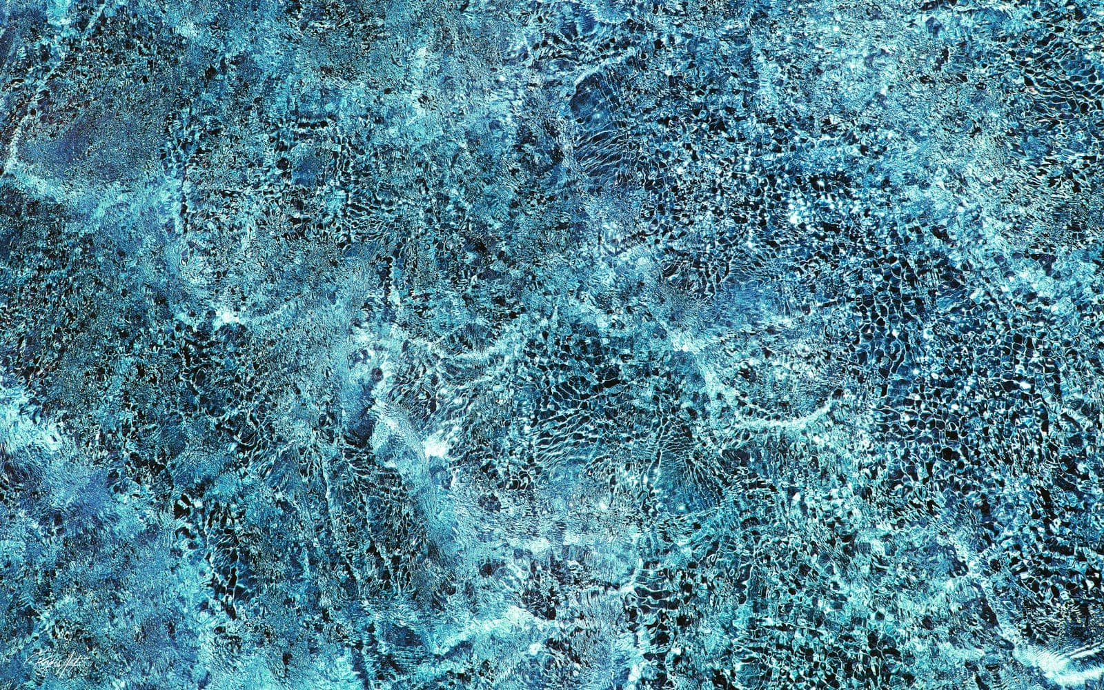 Flow of Life